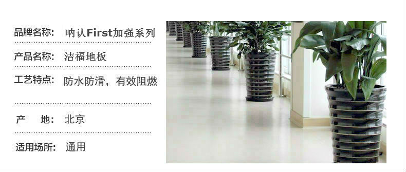 吶認First加強3.jpg